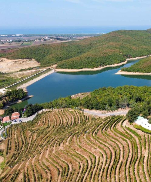 Experience DUKA Winery & Vineyard