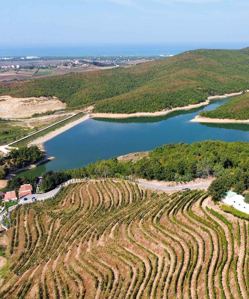 Experience DUKA Winery & Vineyard