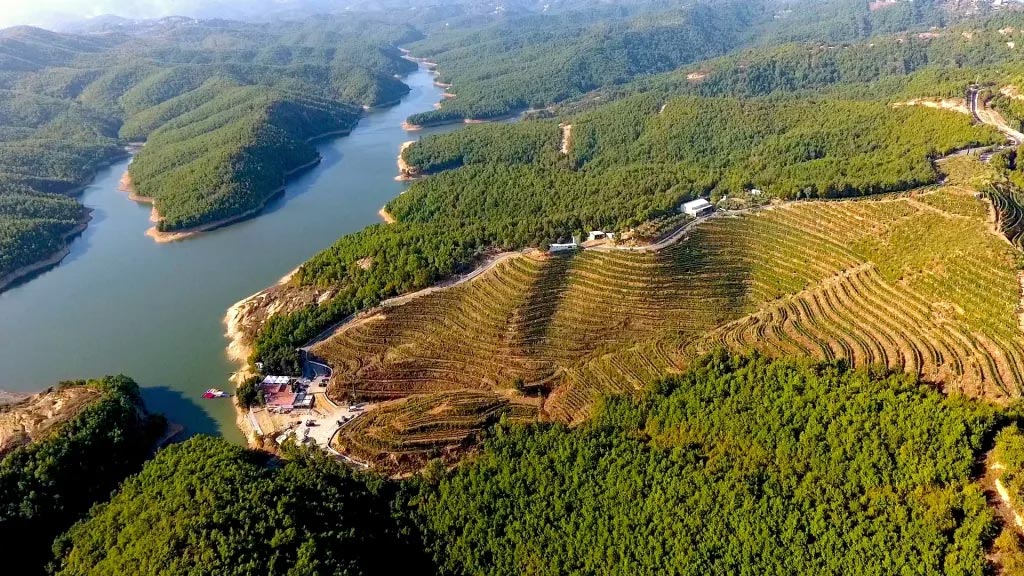 Experience DUKA Winery & Vineyard